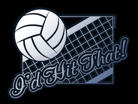 T-shirt concept: Volleyball - I'd hit that!